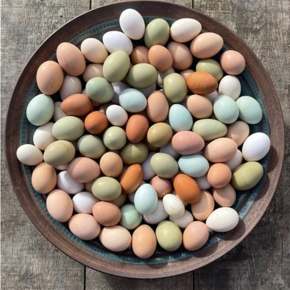 Happy Spring 💜💛💙🩷🩵 - Picture 10 of 16